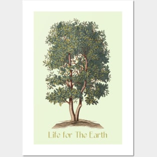 Tree Illustration and Quote for Earth Posters and Art